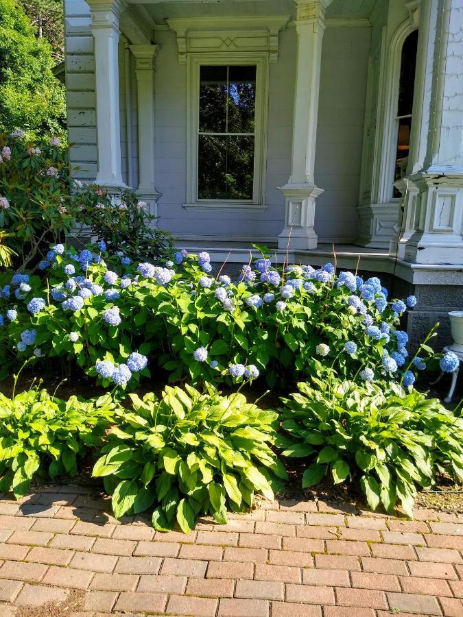 Proctor Mansion Inn Wrentham Exterior photo